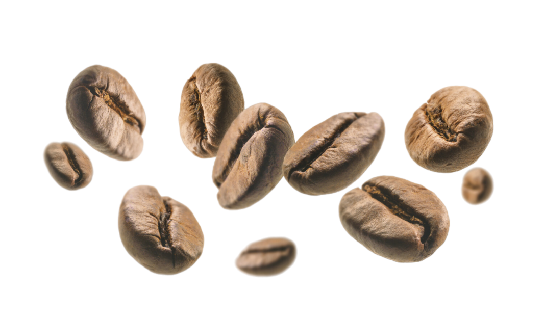 Beans
